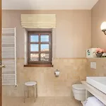 Carolus-luxurious Istrian Villa *