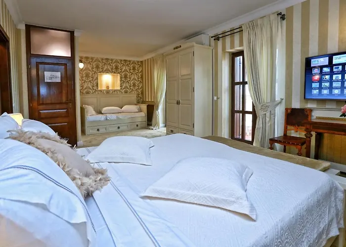 Carolus-luxurious Istrian