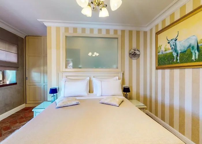 Carolus-luxurious Istrian *