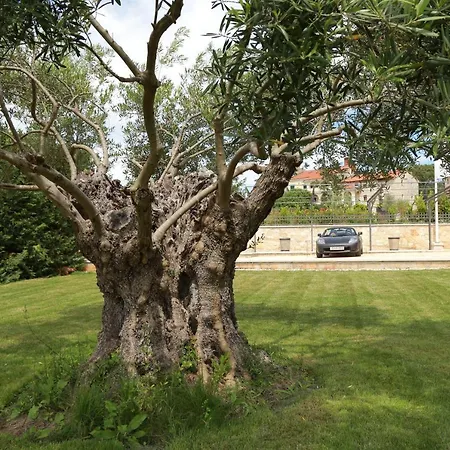 וילה Carolus-luxurious Istrian Barat (Porec)