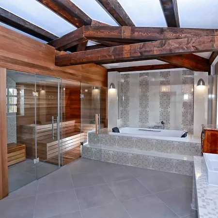 Villa Carolus-luxurious Istrian